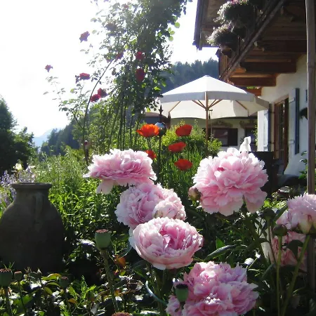 Haus Klauser Apartment
